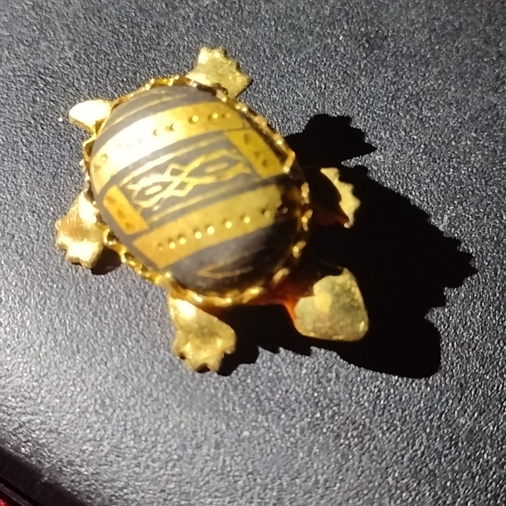 Turtle Pin